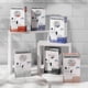 thumbnail image 2 of Nioxin Shampoo anticaida para cabello natural, 300 ml, 2 of 6