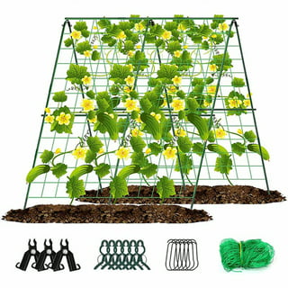 2-Side cucumber Plant Wire Grow Clamp by Magig_I3Prusa