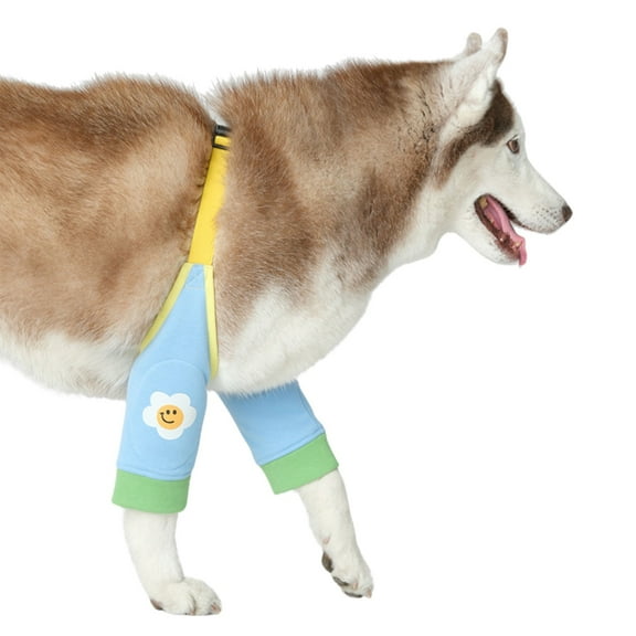 Dog Recovery Sleeve with Paded, Dogs Front Leg Sleeves After Surgery, Elbow Protector for Small Medium Large Dogs, Puppy Joint Brace Prevent Licking Wound Cone Alternative