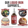 thumbnail image 5 of Triquetra Health Ionic Iron Liquid Supplement, 5 of 8