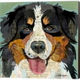 thumbnail image 1 of Great Art Now Bernese by Traci Anderson, Canvas Wall Art, 12W x 12H, 1 of 2