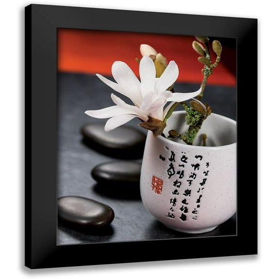 Beyler, Catherine 12x14 Black Modern Framed Museum Art Print Titled - Composition Zen - Magnolia Stellata 2