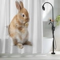 thumbnail image 2 of Funny Bunny Small Stall Shower Curtain, Waterproof Shower Curtains for Bathroom, Cute Art Fun Lovely Animals on Toilets Washable Fabric Bath Curtain for Bathtub Decoration with Hooks 36x78 Inches, 2 of 9