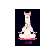 Great Papers! Llamaste Glossy Personal Thank You Notecards Multicolor 50/Pack (2019081)