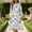 Multicolor, variant on Elvqul Womens Long Sleeve Knee-Length Dresses Sundresses Multicolor Summer Pullover Floral Tunic Crew Neck Shirt Dresses for