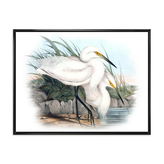 Designart 'Ancient Bird Life I' Traditional Framed Canvas Wall Art Print