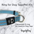 thumbnail image 5 of Regal Dog Products Dog Collar with Metal Buckle & D Ring - Fits Small, Medium, Large Dogs, 5 of 8