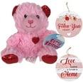 thumbnail image 6 of EBK Valentine's Day 2 Round Wall Signs Bundled with Valentine’s Pink Heart Plush 5" Teddy Bear Valentine's Day DIY Decor Gift in an Exclusive BCL Carrier, 6 of 7