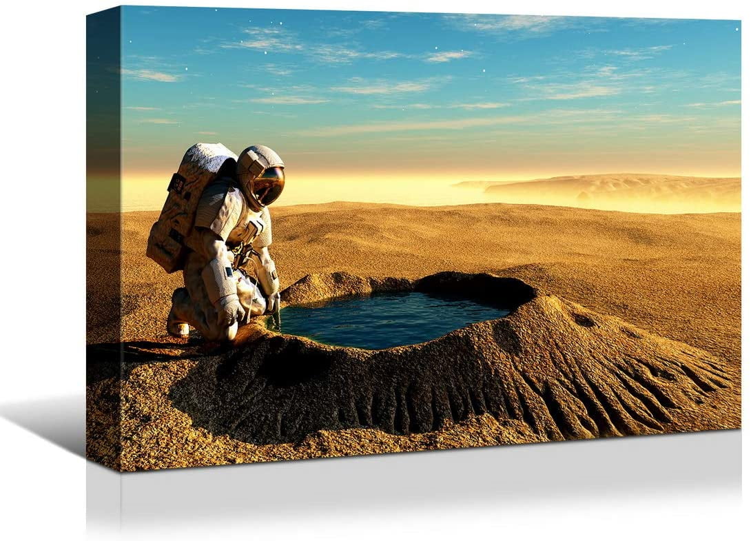 Rosework Framed Canvas Wall Art, 36x48 Inch, Astronaut in Space