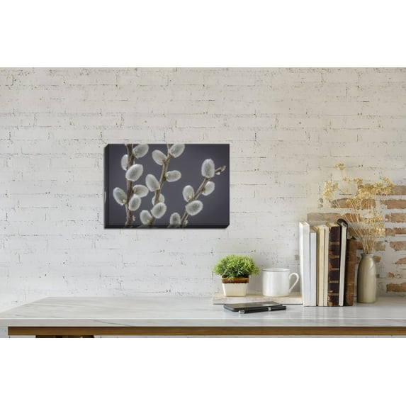 Gango Home Decor Contemporary Pussy Willows II by Kathy Mahan (Ready to Hang); One 24x16in Hand-Stretched Canvas