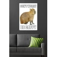 thumbnail image 4 of Capybara - Be Cappy Wall Poster, 22.375" x 34", 4 of 4