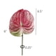 thumbnail image 5 of 3 Flores de Anturio Artificiales de 22.8 Pulgadas para DecoracióN del Hogar, Ramo y Hojas y DecoracióN de Boda Nupcial (Rosa), 5 of 5