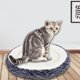 thumbnail image 3 of Cama para perros pequeños, cama calmante para perros pequeños, cama para cachorros antiansiedad, lavable a máquina, 3 of 5