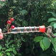 thumbnail image 4 of Christmas Decorations Hat Hummingbird Feeder Handheld Hummingbird Feeders with Clips & Red Berries Bird Feeders Tube for Hat & Hand Gift for Bird Lovers, 4 of 9
