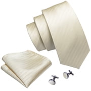 Barry.Wang Stripe Ties for Men Set Pocket Square Cufflinks Check Necktie Set Formal Silk