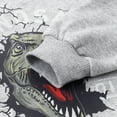 thumbnail image 4 of Boys Gray Sweatshirts 100% Cotton Fall Winter Clothes Long Sleeve Shirts 2T T-rex (198-2), 4 of 5