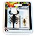 thumbnail image 3 of ED Speldy East PWC425 Scorpion Paperweight Collection - 2 Piece, 3 of 3