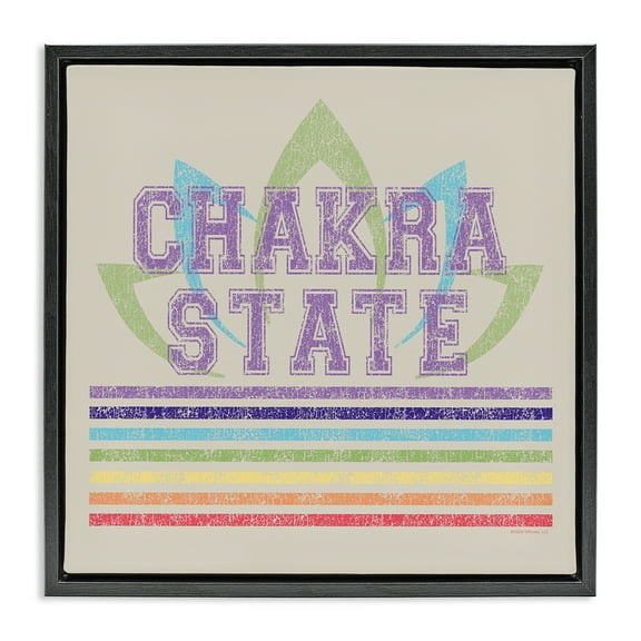 Stupell Industries Vintage Chakra State Novelty & Humor Painting Black Floater Framed Canvas Art Print Wall Art, 18 x 18