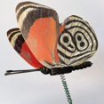 thumbnail image 4 of Estacas de mariposas YONGSHENG 50 Uds impermeables decoración de jardín, 4 of 4