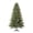 Green, variant on 7.5' Pre-Lit Birchwood Fir Green Artificial Christmas Tree with 500 Warm White Twinkle LED Lights, Quick Set, and Stand, by Holiday Time