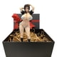 thumbnail image 1 of Zone. Toy Waifu Hentai figura Akizono Kanna Girl Ecchi figura de colección Cast Off figura Sexy Anime figura de juguete caja de regalo embalaje Fivean unisex, 1 of 2