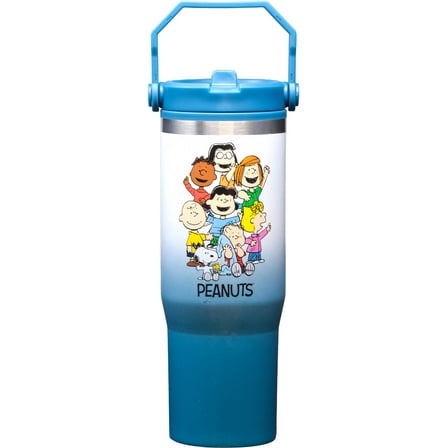 PEANUTS GROUP 30OZ STNLS BOTTL