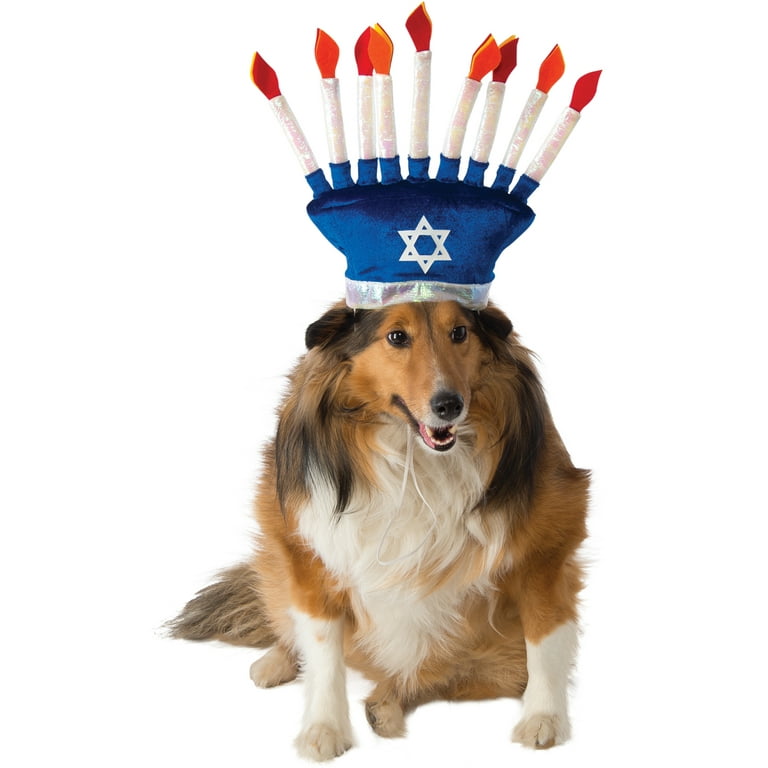 Dog hot sale hanukkah clothes