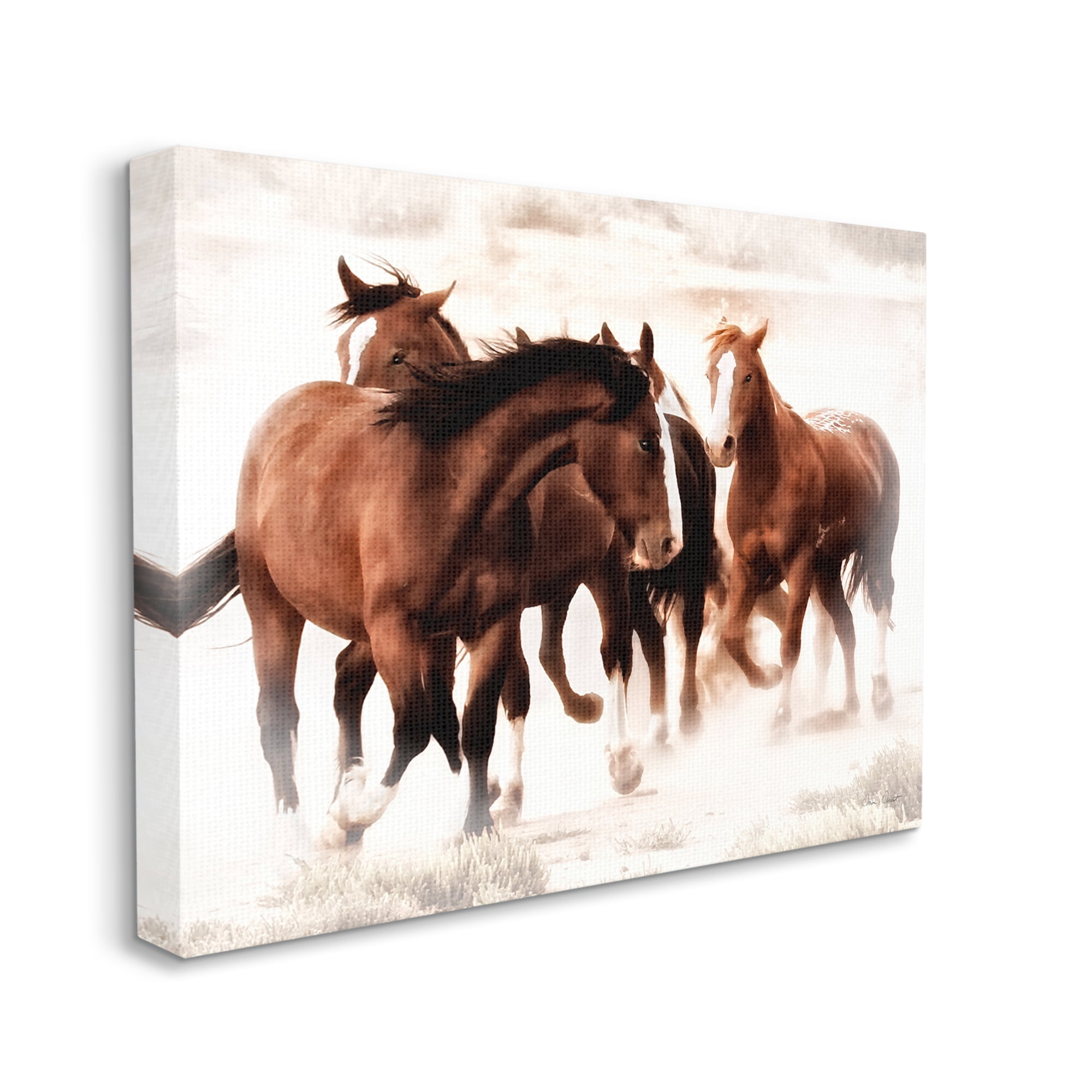 Stupell Industries Trotting Brown Horses Animals & Insects Photography Gallery Wrapped Canvas Print Wall Art, 40 x 30