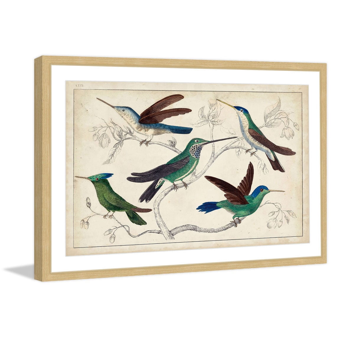Marmont Hill "Hummingbirds" Framed Painting Print