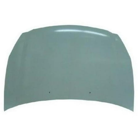 Hood for 2006-2014 Kia Sedona