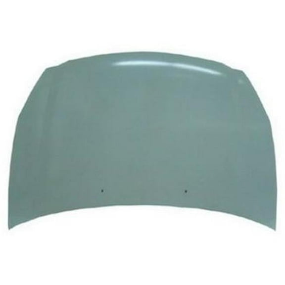 Hood for 2006-2014 Kia Sedona