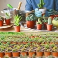 thumbnail image 3 of 75pcs 4 Inch Plastic Planting Pots, , Bottom Drainage Design, Easy to Move, for Transplanting Vegetable and Flower Seedlings, 3 of 7