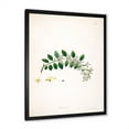 thumbnail image 2 of Designart 'Ancient Plant Life XVIII' Farmhouse Framed Art Print, 2 of 4