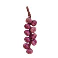 thumbnail image 2 of Flmtop Artificial Fruit Foam Vegetable Corn Pepper Garlic Hanging Photo Prop Home Decor, 2 of 8