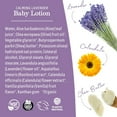 thumbnail image 4 of Earth Mama Organics Baby Lotion for Sensitive Skin, Calming Lavender, 8 fl oz, 4 of 8