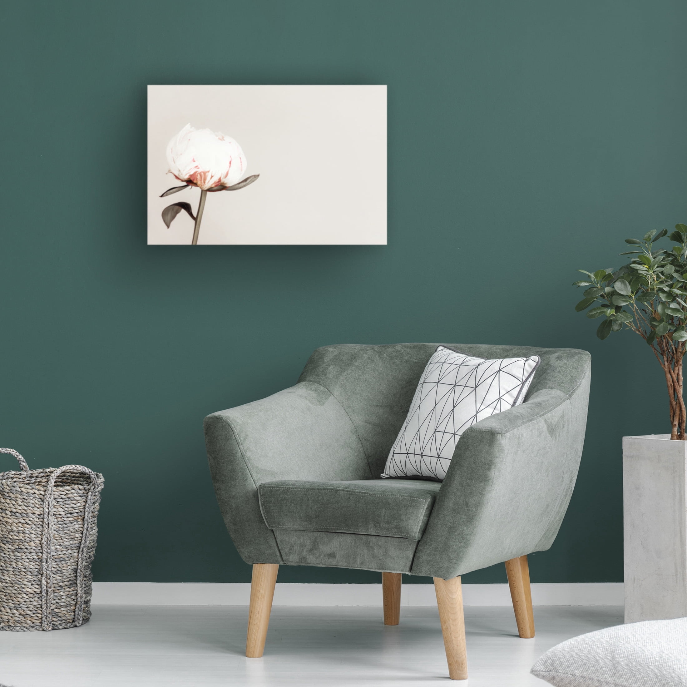 Trademark Fine Art Pictufy Studio III Peony 02 Canvas Wall Art