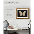thumbnail image 3 of Decoración mural en Simsea, diseño retro con forma de mariposa blanca, 28 x 36 cm, marco, 3 of 8
