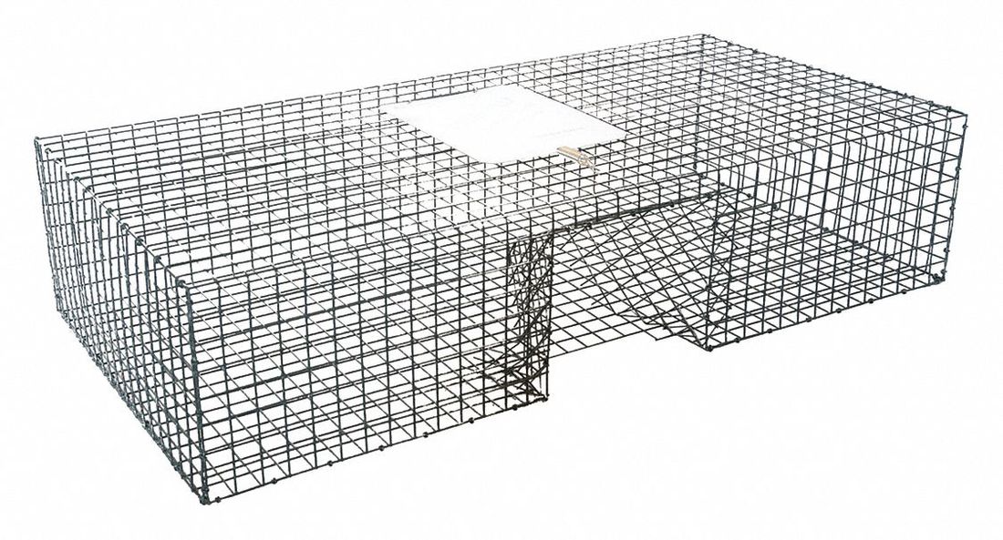 Kness Animal Traps, Used For Pigeons 1600006