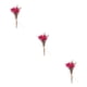 thumbnail image 4 of Arreglos de hojas y Flores secas ecológicos y sostenibles Bearachild Elegante flor en relieve seca HS-19, 4 of 6