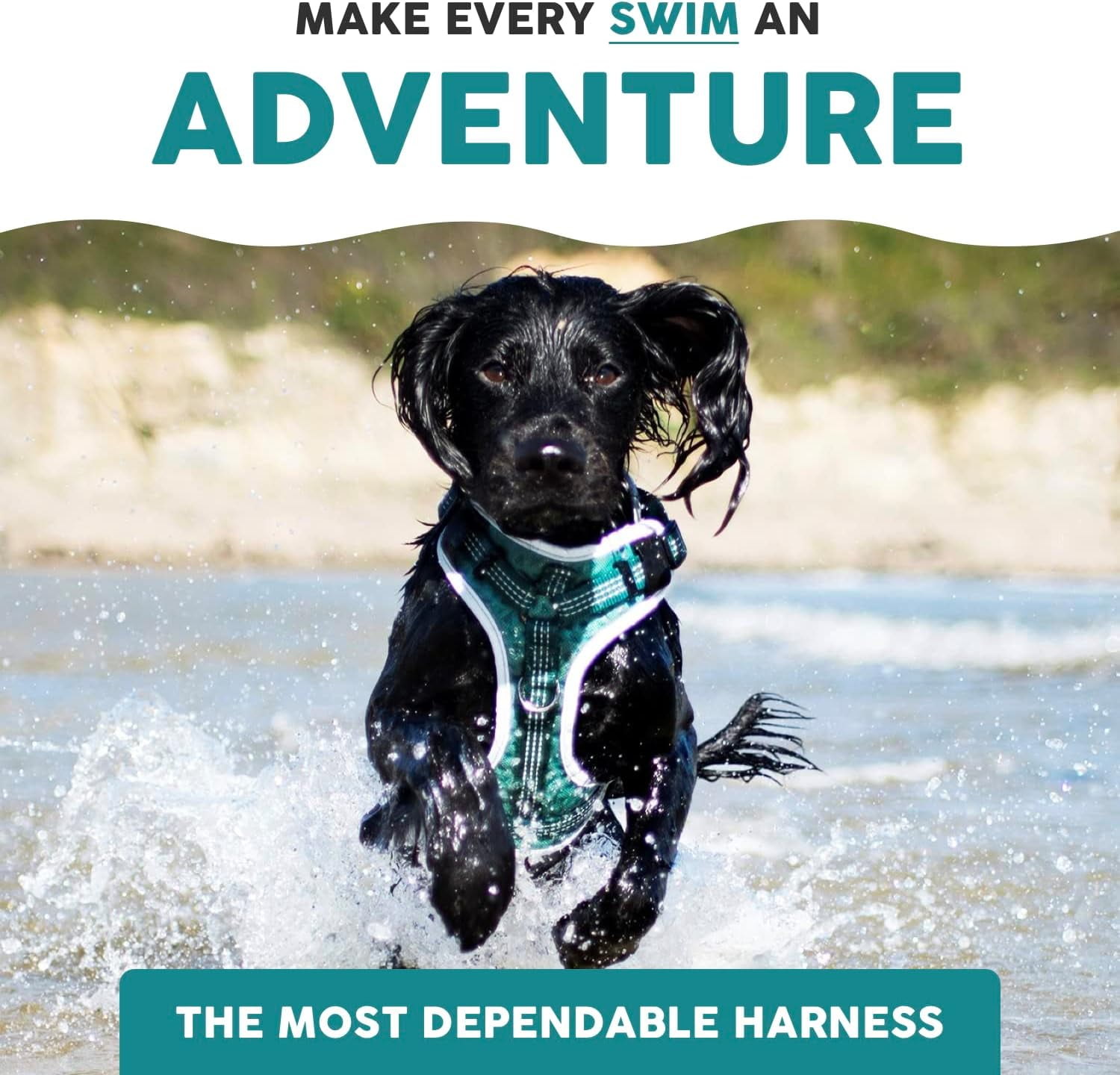 Embark Sports Dog Harness, Dog Harness for Small Medium Large Dogs No Pull with Light and Breathable Design - Handle for Control. Easy On and Off, Size Adjustable, Non Choke. Teal Vest
