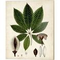 thumbnail image 5 of Metaverse Vision Studio 'Verdant Foliage B' Canvas Art (Set of 4), 5 of 5
