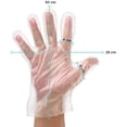 thumbnail image 3 of Guantes desechables y degradables de Politileno Glove Politileno, 3 of 4