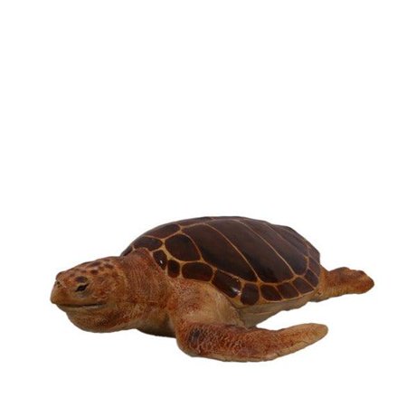 Loggerhead Sea Turtle Life Size Statue Prop