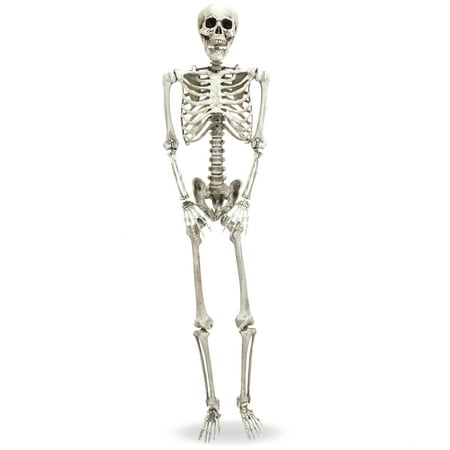 Best Choice Products 5ft Full Body Hanging Posable Skull Skeleton Halloween Decoration w/ Movable Joints, White