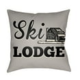 thumbnail image 1 of Indoor Outdoor LGCB2039-1818 Square 18" x 18" Pillow Cover + Polyfill, 1 of 1