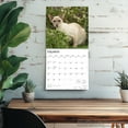 thumbnail image 5 of Siamese Cats | 2026 12x24" (Hanging) Wall Calendar | Plastic-Free | BrownTrout, 5 of 9