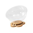 thumbnail image 4 of STARTIST Capsule Spatiale Lit pour Chat Transparent Centre d'Activités Maison pour Animaux en Acrylique pour Chats Minou Fleur Sans Coussinet, 4 of 9