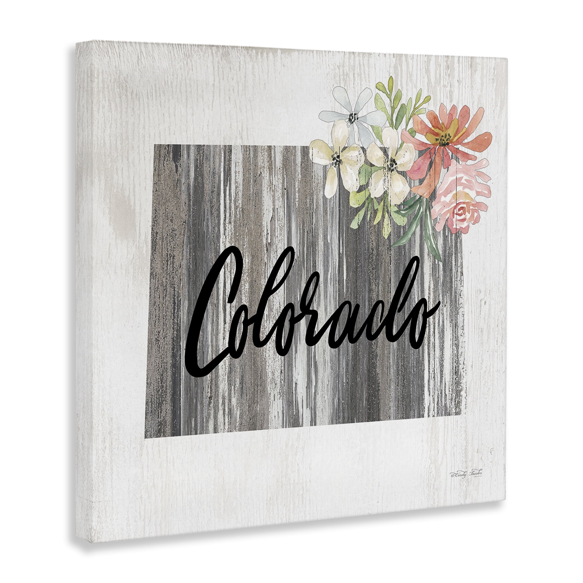 Stupell Industries Shabby Chic Colorado Botanical & Floral Painting Gallery Wrapped Canvas Art Print Wall Art, 36 x 36