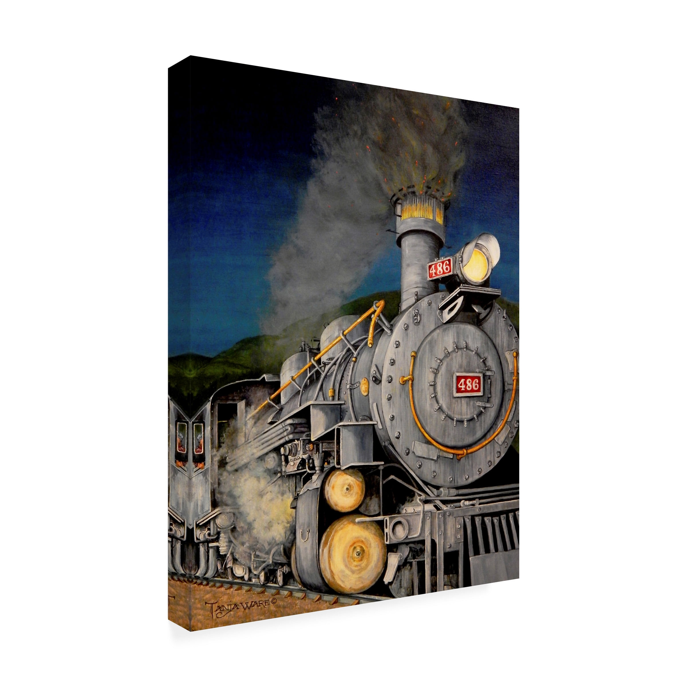 Tanja Ware 'Night Train' Canvas Art