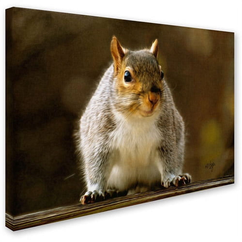 Trademark Fine Art "Smiling Squirrel" Canvas Art by Lois Bryan